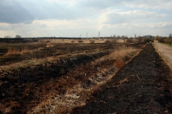 Efekt wypalania traw na terenie Gnaszyna w Częstochowie